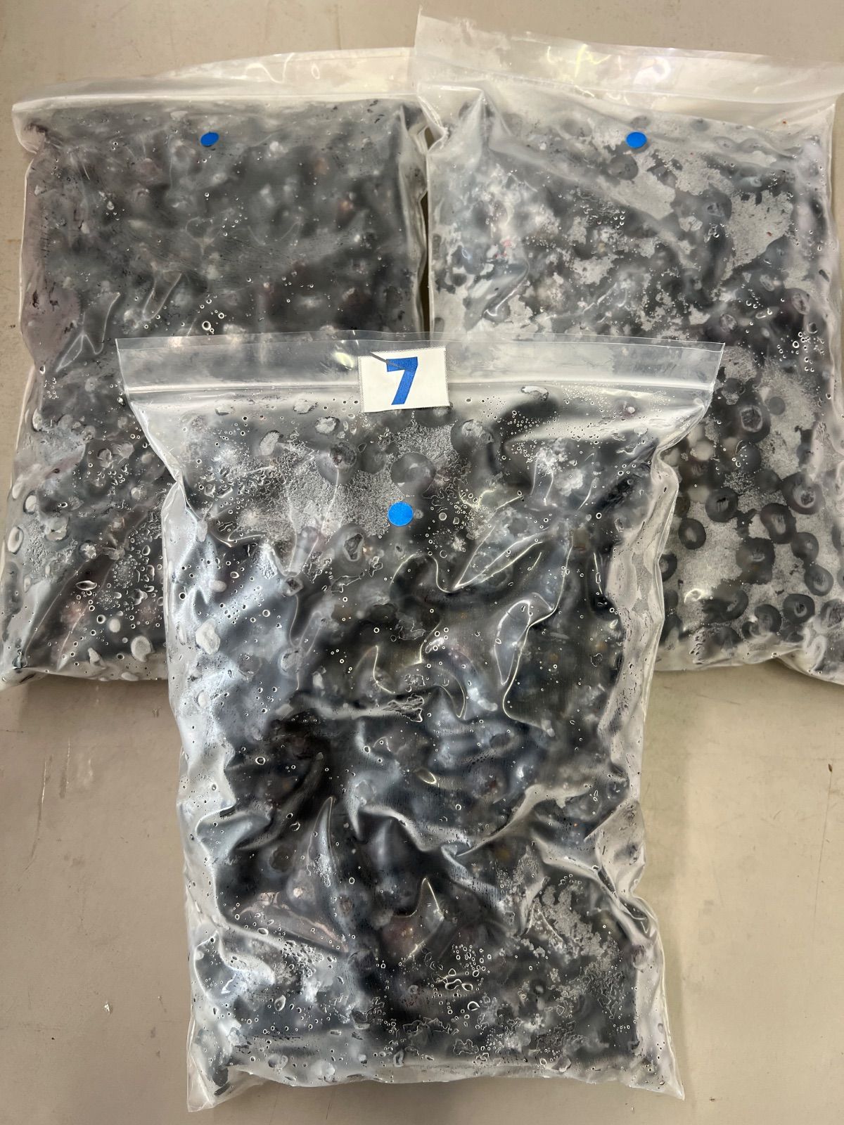 冷凍中粒ブルーベリー3kg 中粒冷凍ブルーベリー3kg 【公式通販】