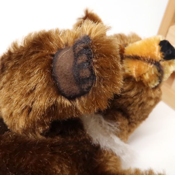 テディベア　モヘア　20cm teddy bear Teddy Bear over 20cm (7.8