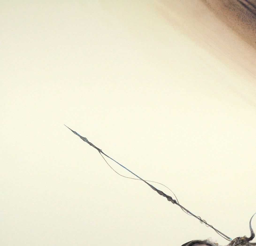 天野 喜孝「ギャラクシー」ジクレ版画・限定直筆サイン入り・保証書