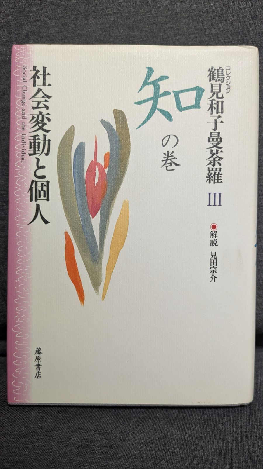 鶴見和子曼荼羅: コレクション (3(知の巻)) 鶴見和子曼荼羅3 知の巻 社会変動と個人 鶴見和子 見田宗介
