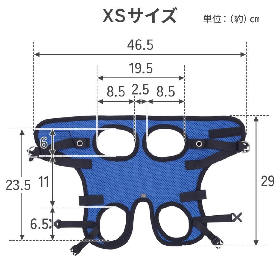 XS 犬