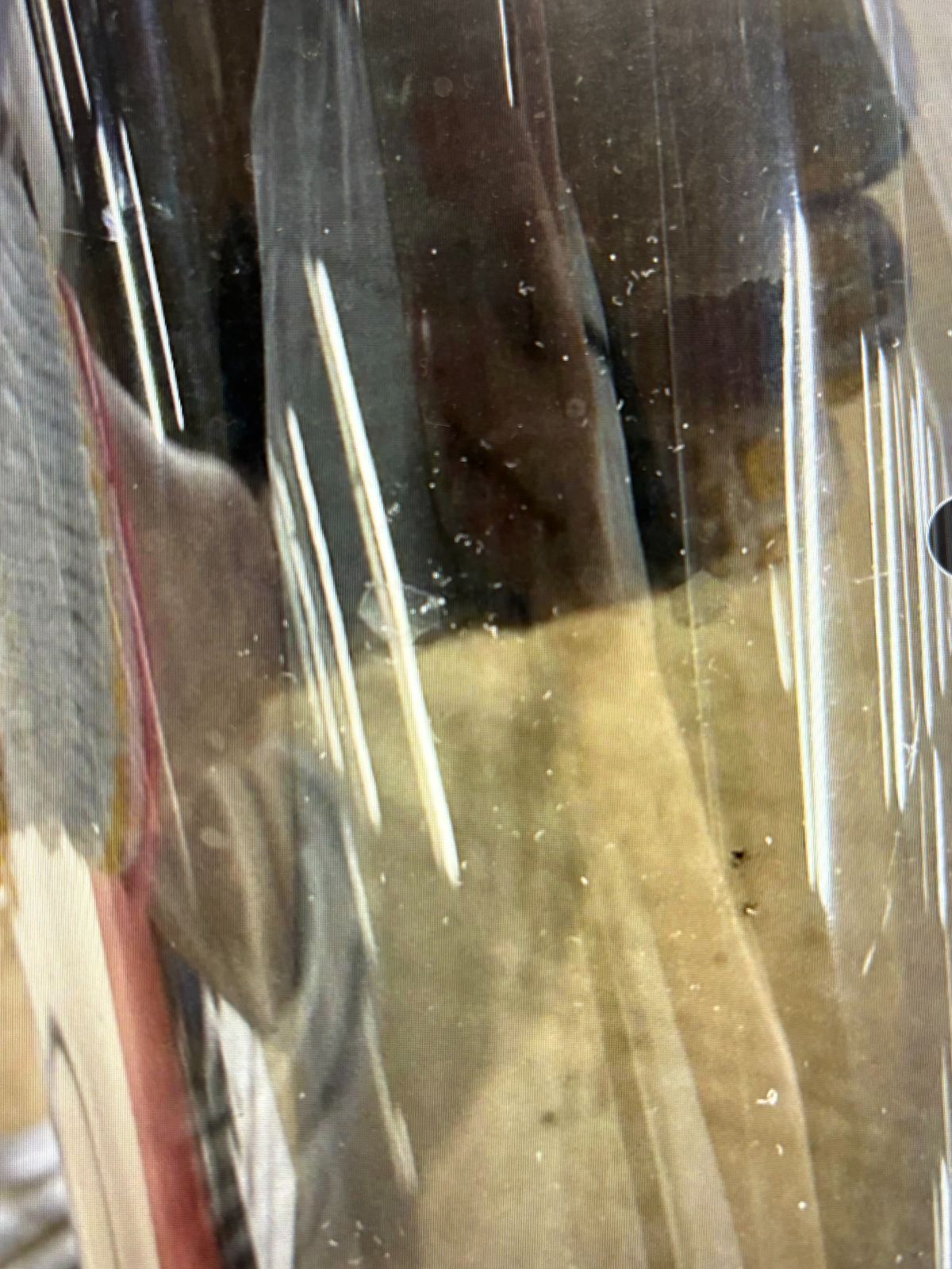 cado 置き型加湿器 HM-C630i クールグレー 動作 済み WWW_KANDAIZUMI_COM