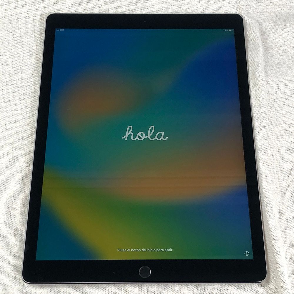 【バッテリー良好】Apple iPad Pro 12.9インチ 第1世代 Wi-Fi + Cellular 256GB Space Gray スペースグレー（A1652）/TL-241688（002499）