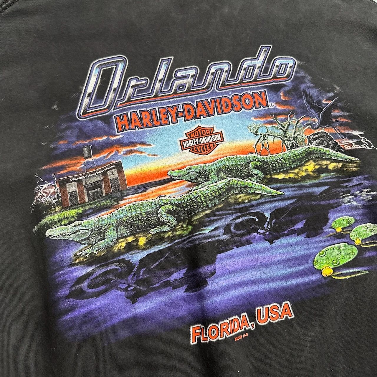 USA製 HARLEY DAVIDSON 両面 雰囲気系 フレイムイーグル ハーレーT