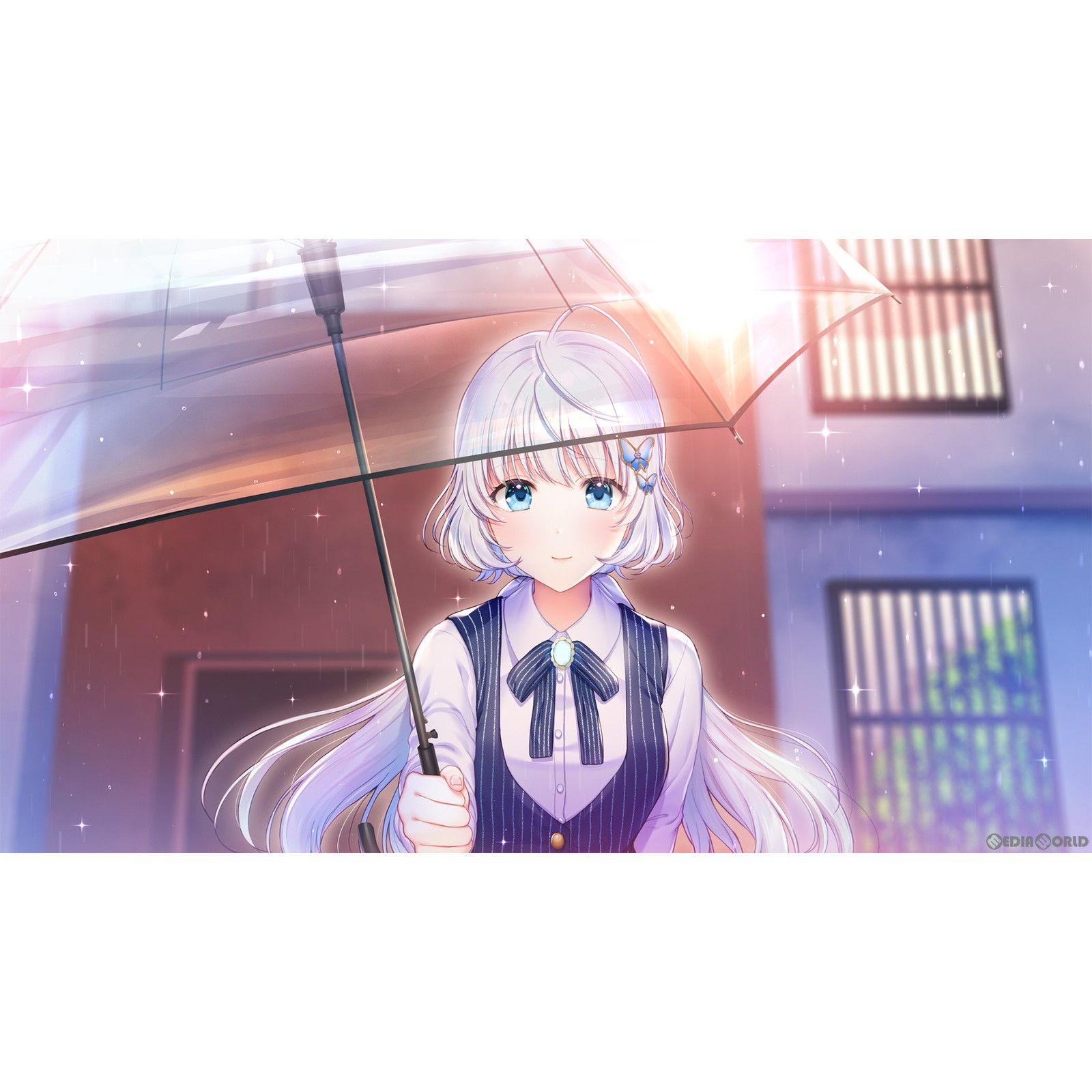 DREAM - Nintendo Switch スイッチソフト2045、月より。 The Butterfly Dream 完全生産限定版 エンターグラム Nintendo Switch スイッチ ソフト 2045、月より。 The Butterfly