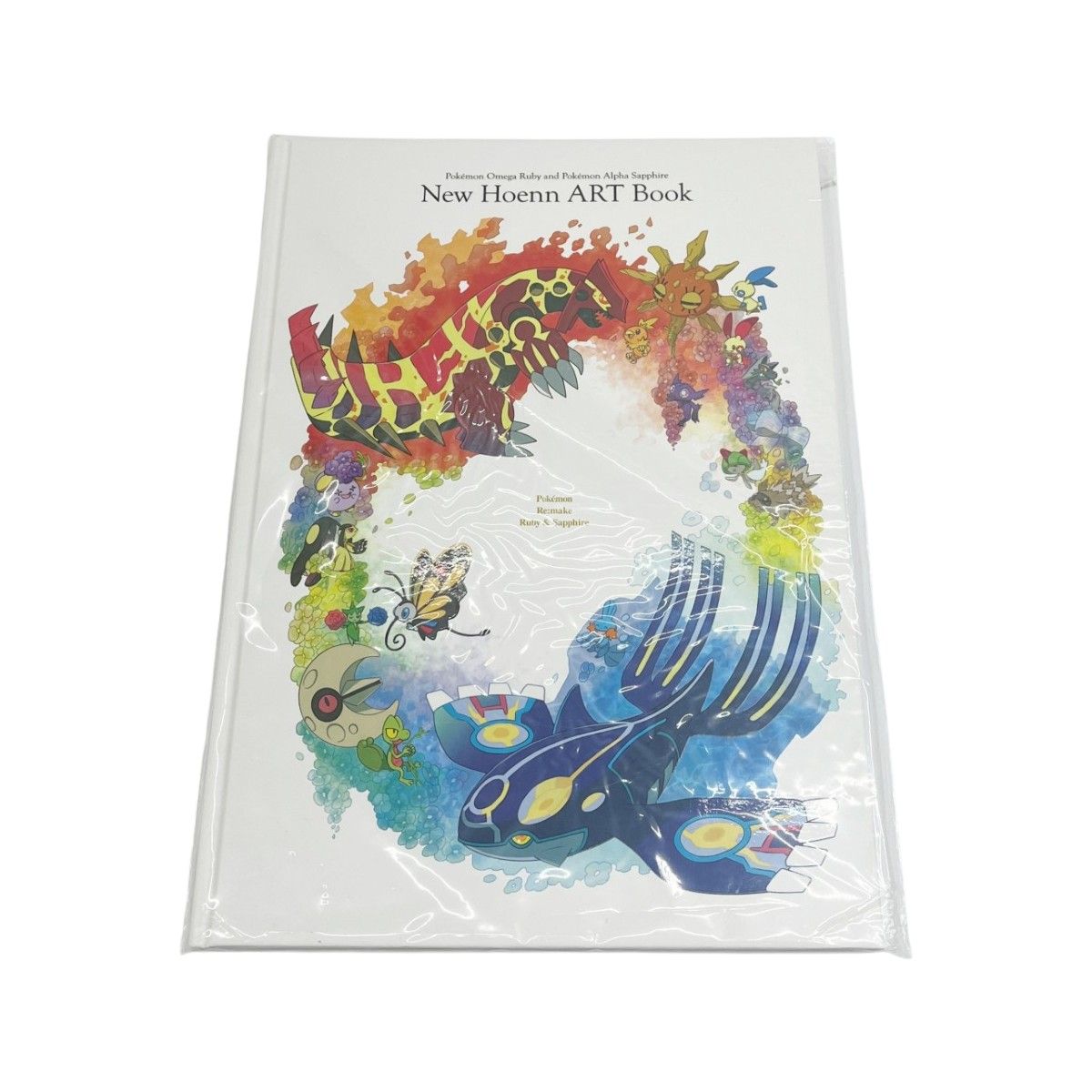 ◇◇ ポケットモンスター New Hoenn ART Book ニューホーエン