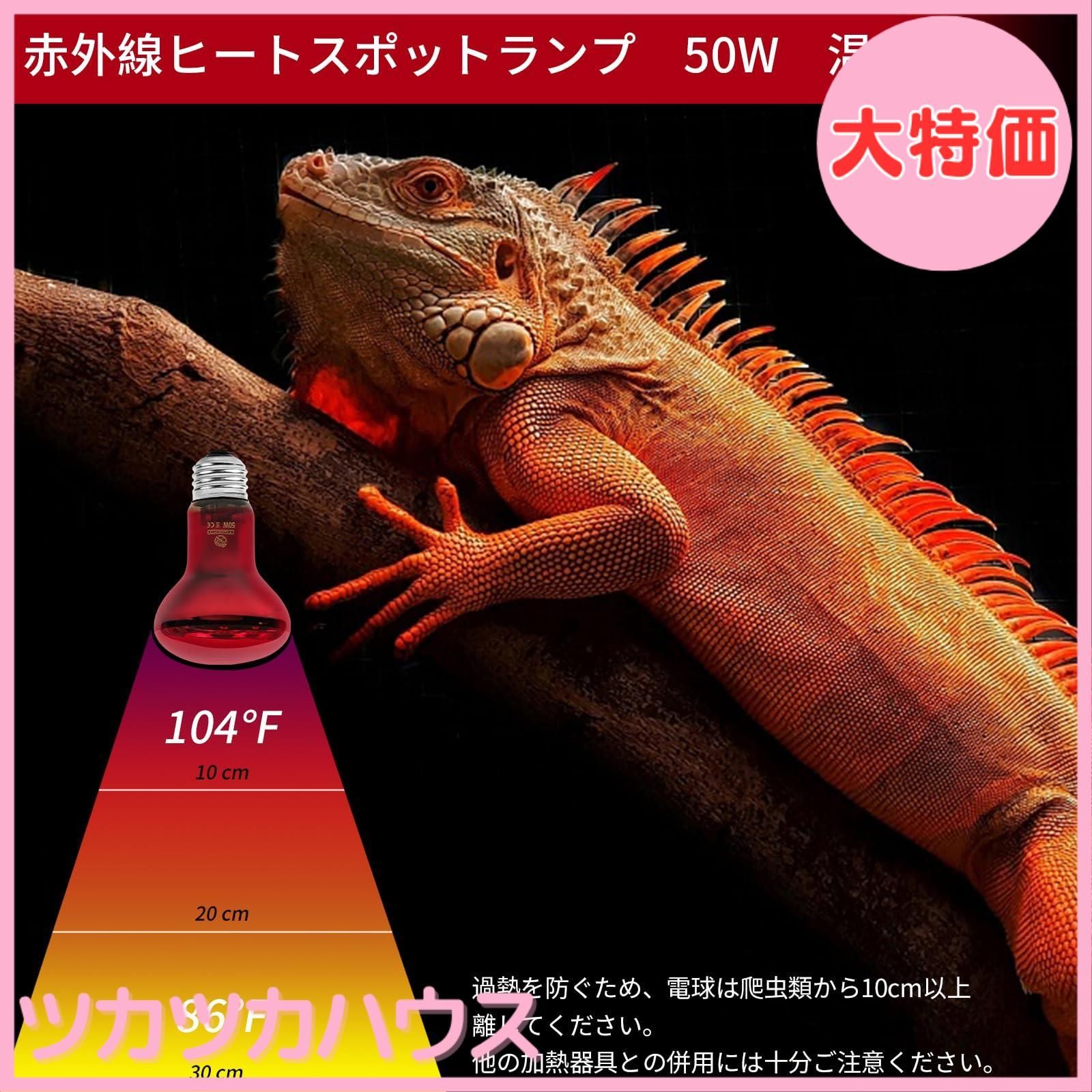 大特価】REPTI HOME ヒートグロー 50W 2個 爬虫類 保温電球