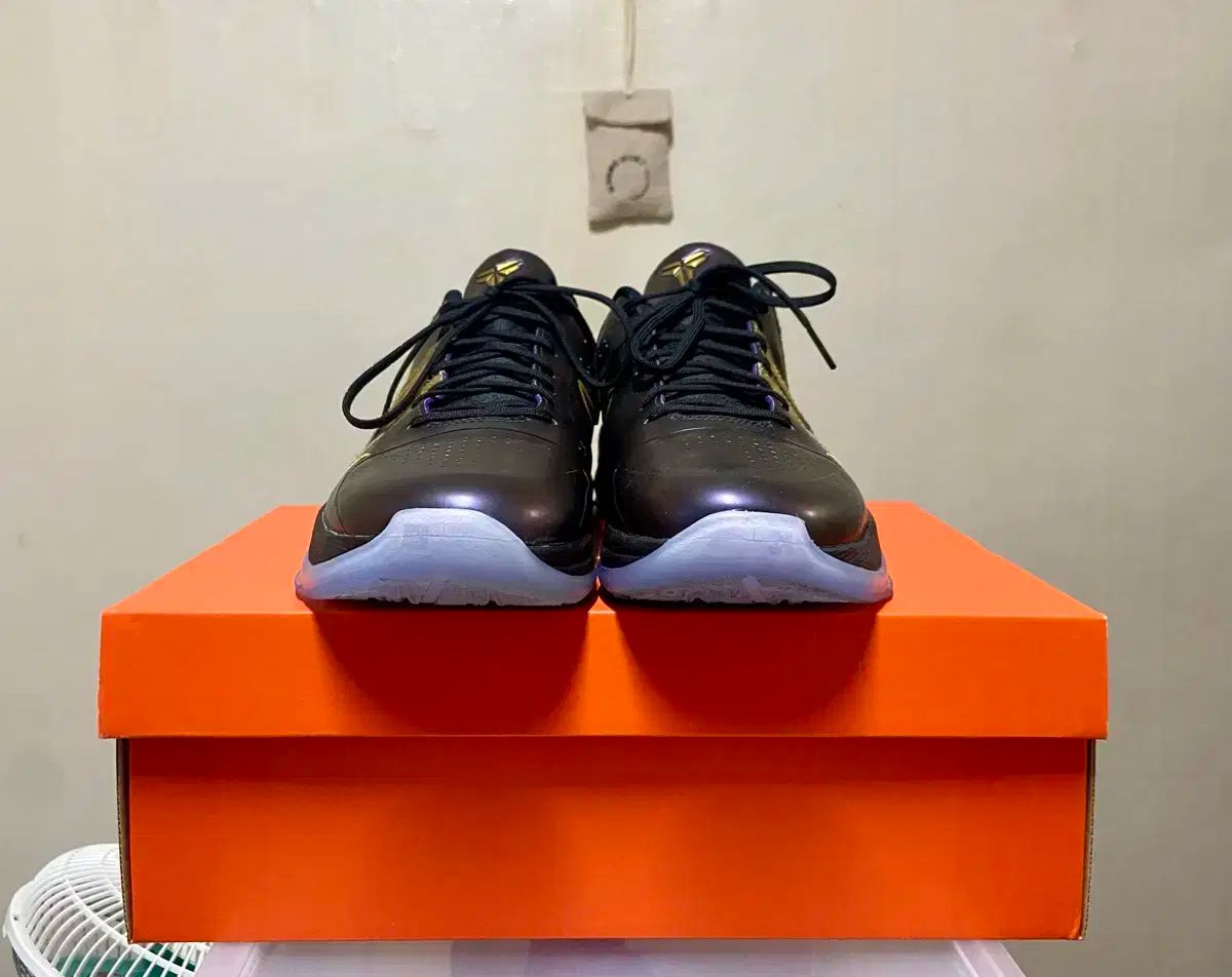 NIKE　コービー5　プロトロ　バスケットシューズ KOBE V PROTRO “Year of the Mamba” 'Eggplant' ｜ FLY