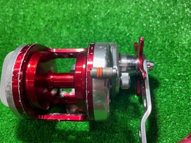 トーナメント石鯛