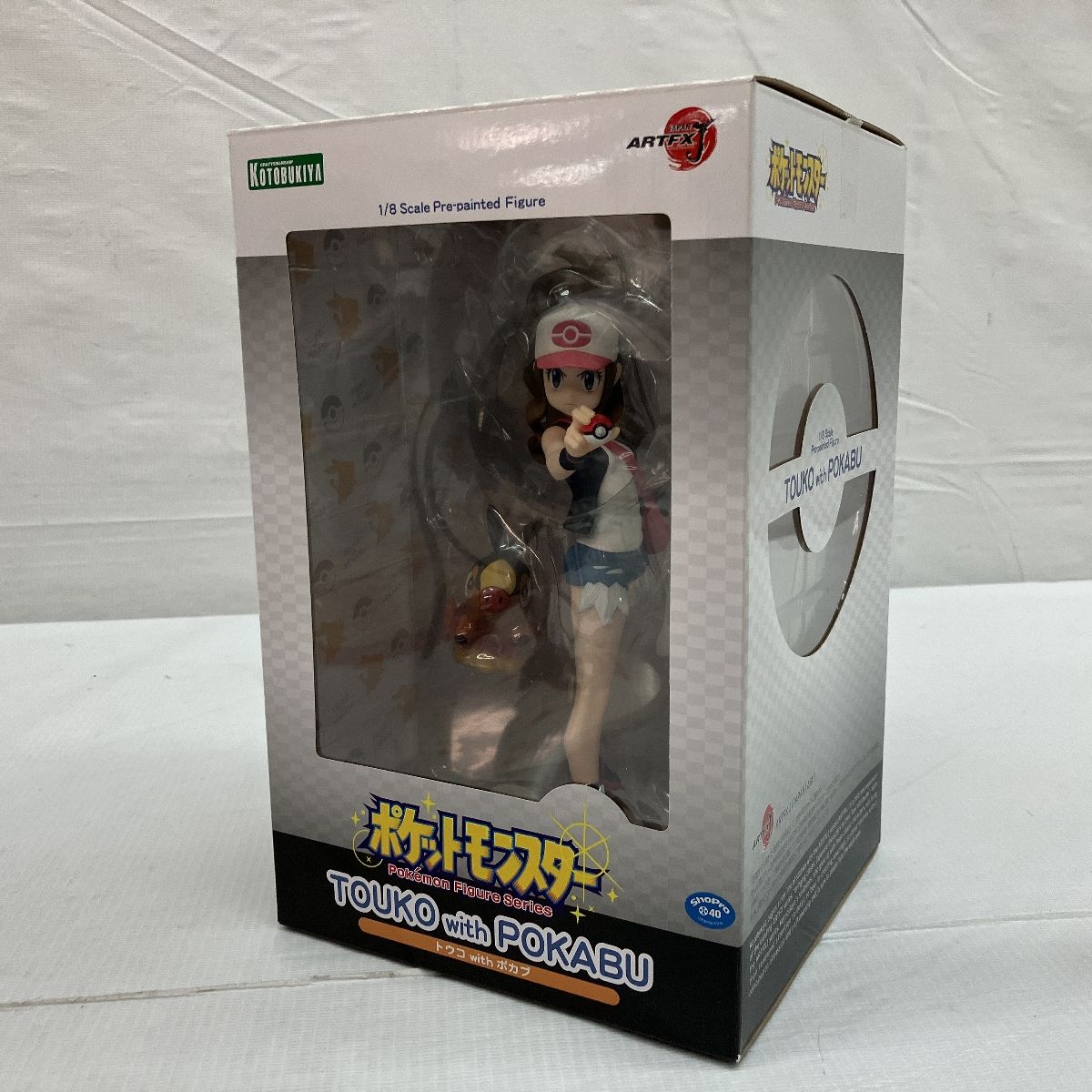 ポケットモンスター トウコwithポカブ