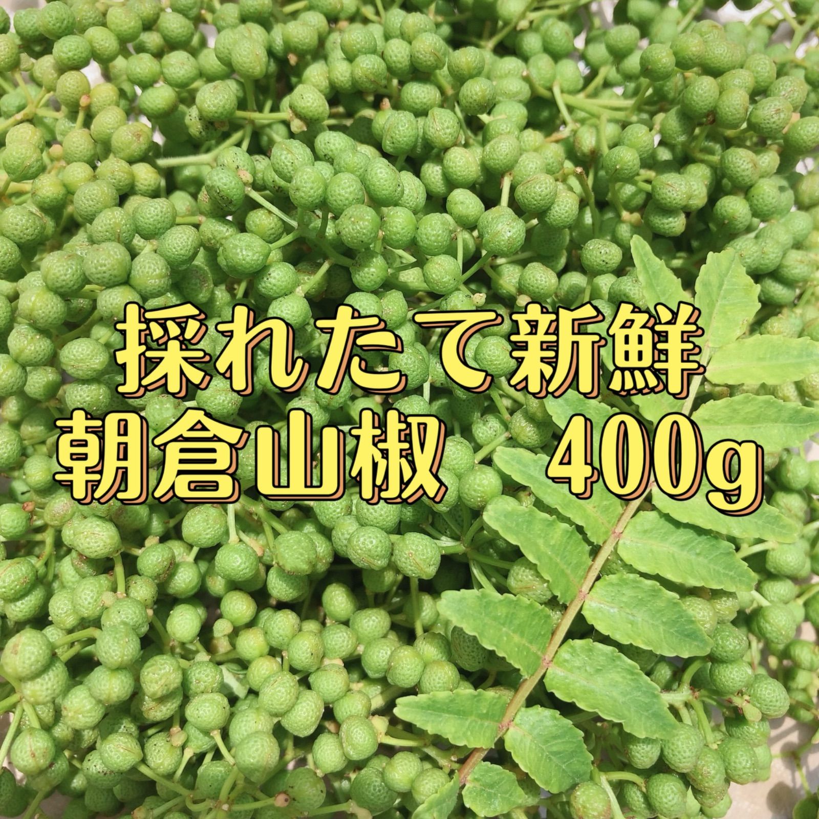 無農薬 山椒の実 - 野菜