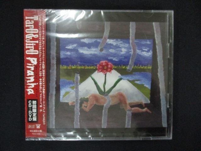 1517☆新品CD Piranha（ピラニア） (CD+DVD)/TarO&JirO