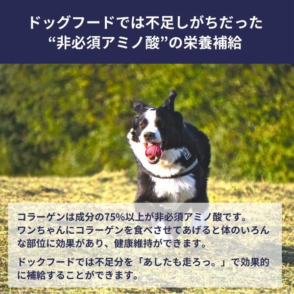 ニッピ あしたも走ろっ。 160g 2個セット 犬用 サプリメント