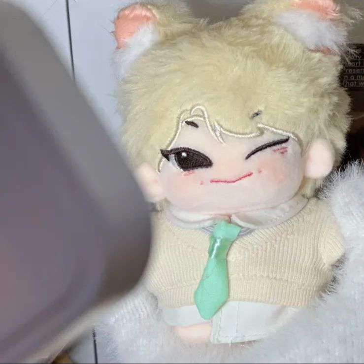 StrayKids アイエン マスター ぬいぐるみ グッズ stray kids アイエン ぬいぐるみ 10cm 新品 マスター