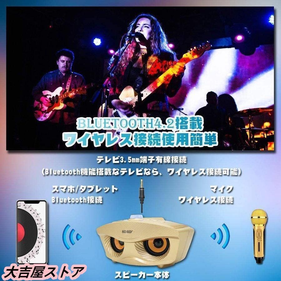 カラオケセット家庭用 充電式スピーカーマイク２本BT5.3 TWS機能 6時間 Amazon.co.jp: カラオケセット家庭用 充電式スピーカーマイク2本BT5.3
