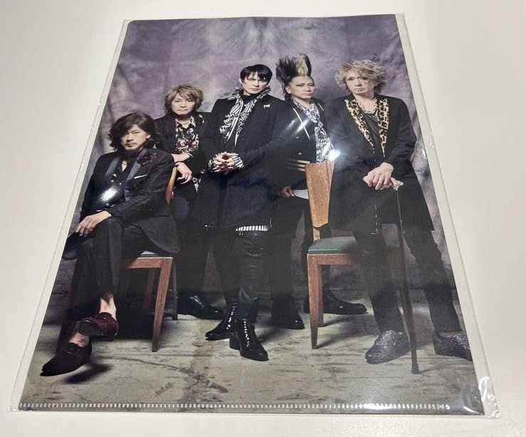 BUCK-TICK バクチク 2025 BUCK-TICK展 グッズ クリアファイル B