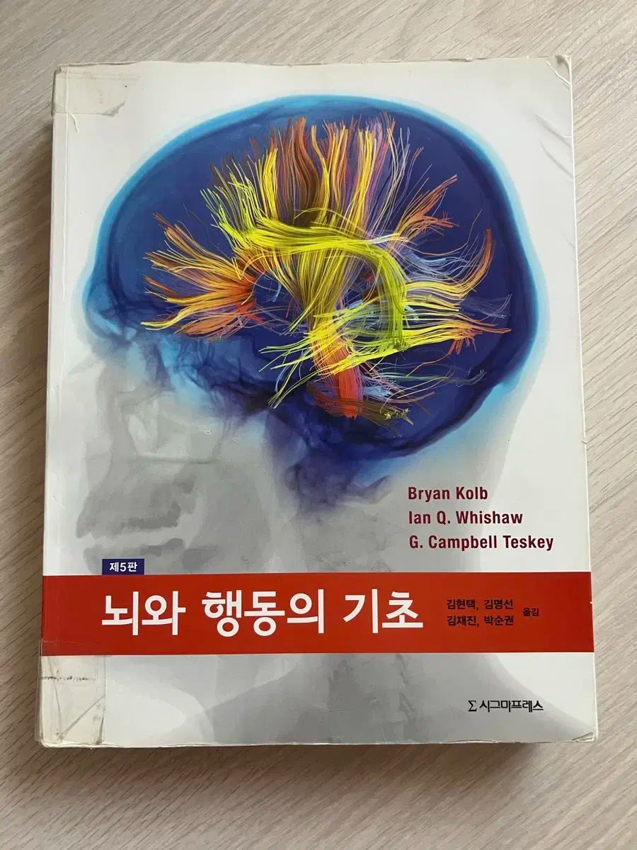 脳と アクションの 基礎 5 プラーク 脳科学 生物物理学