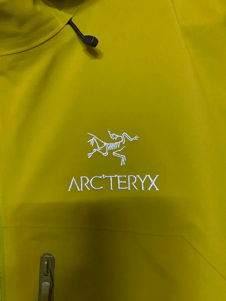 ARC TERYX アークテリクス ベータ sv