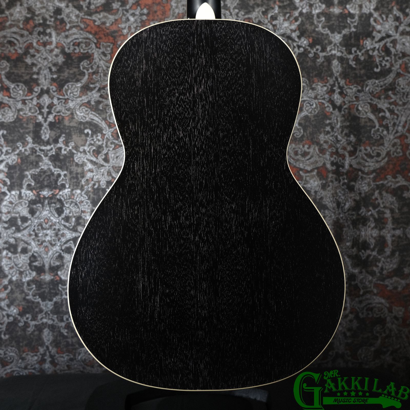 Paul Reed Smith(PRS) SE P20E Dog Hair w/ Fishman Presys VT Pickup