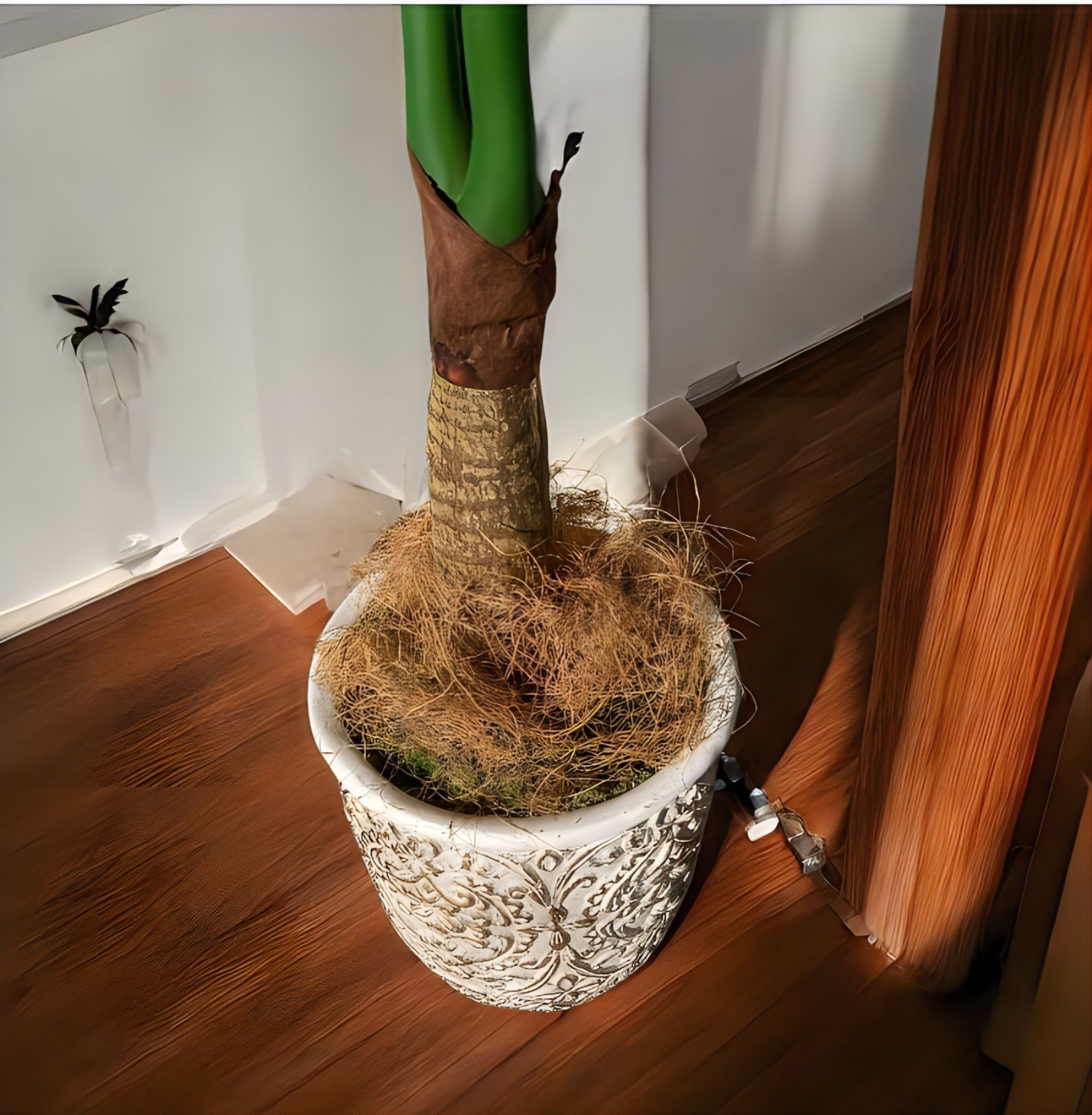 光触媒 人工観葉植物 ウォールグリーン フェイクグリーン クワズイモ