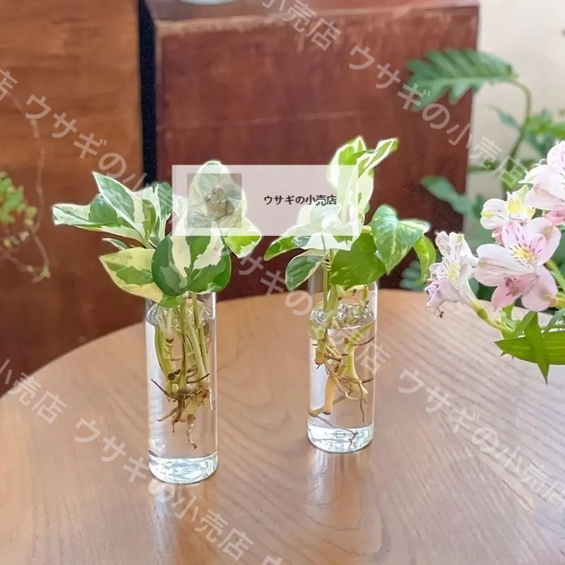 【新品未使用】花瓶　壁掛け 新品・未使用】壁掛けプランター 花瓶 試験管プランター