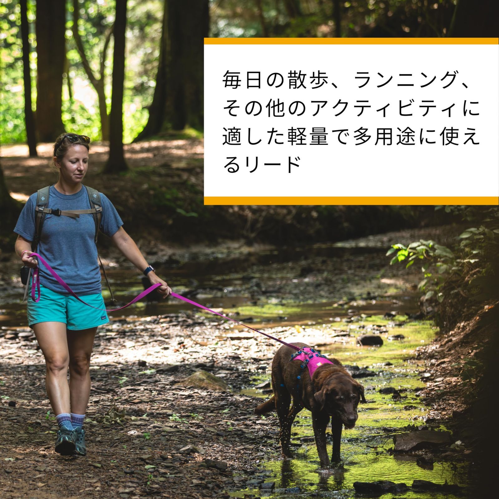 フラッグラインリーシュ アルペングローピンク