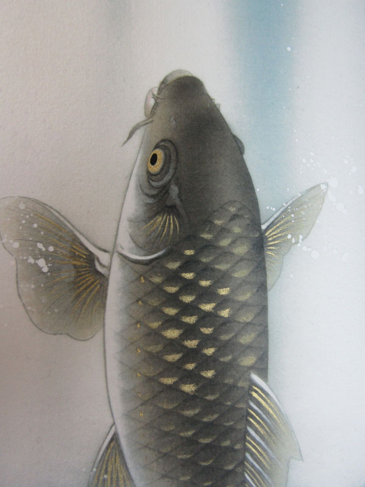 日本画 佐藤晋伍 「 金運大昇鯉 」 - メルカリ