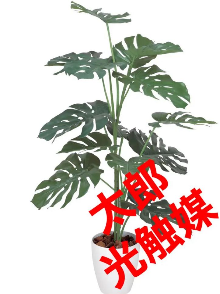 光触媒 人工観葉植物 ウォールグリーン フェイクグリーン モンステラ1.2-