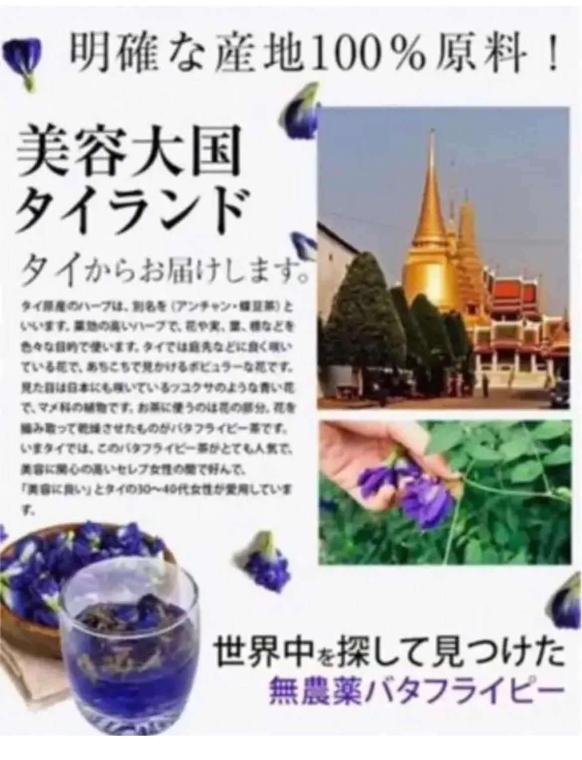 訳あり！青いお茶！1包で1L～2L分❣️ リラックス効果❣️たっぷり120包 クーポンあります❣️1包7カップ分【スッキリ爽やかな味わい】60包×2袋 ミント 🌱 🍋 バタフライピー レモングラス ミント バタフライピー！ ノンカフェイン！ ポスト投函