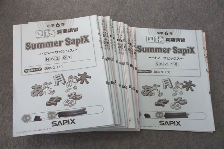 SAPIX6年生算数 夏期講習サマーサピックス18冊セット SAPIX6年生算数 夏期講習サマーサピックス18冊セット Amazon.co