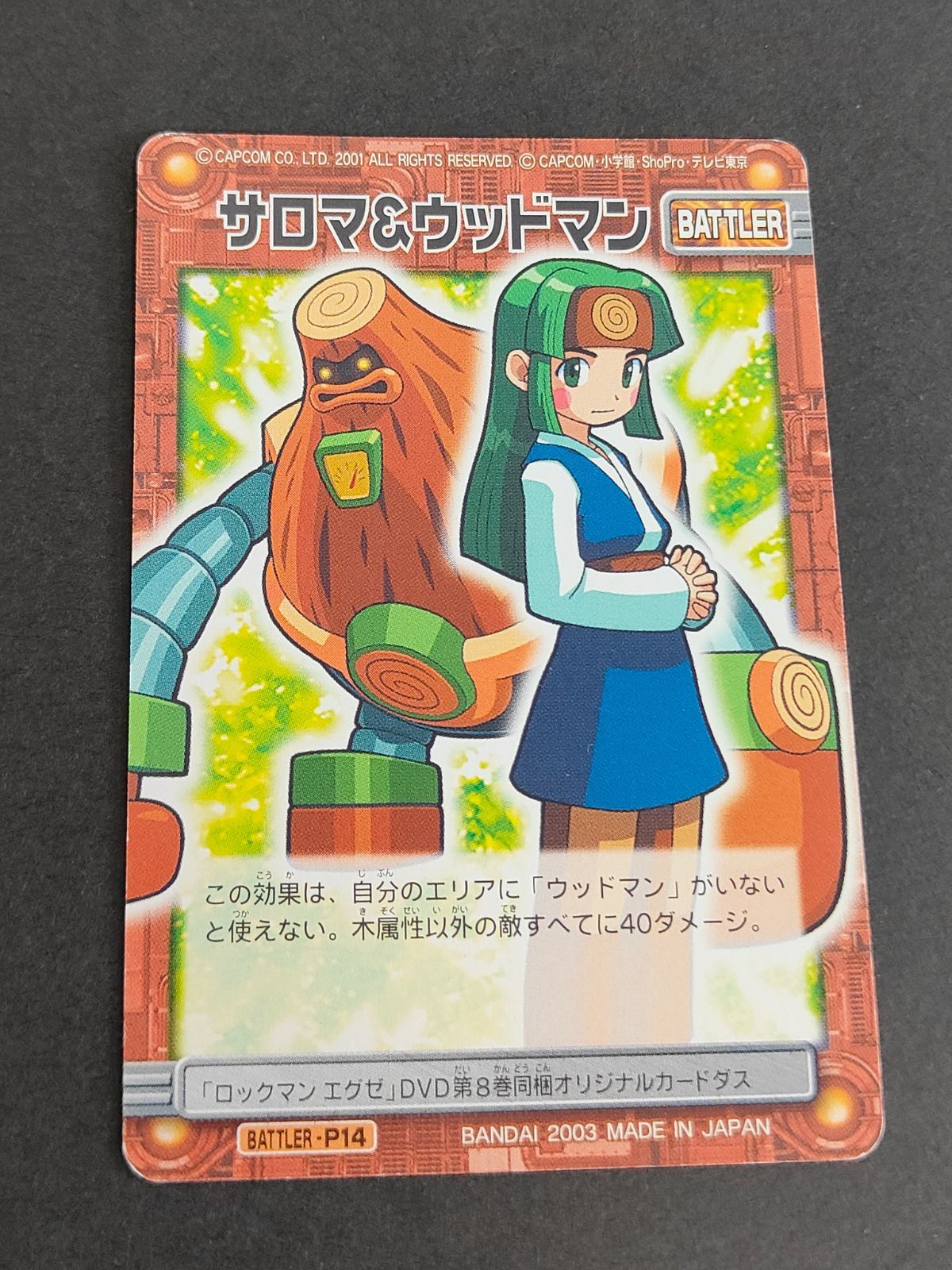aca262 ロックマンエグゼ カードダス カード DVD8巻 同梱 特典