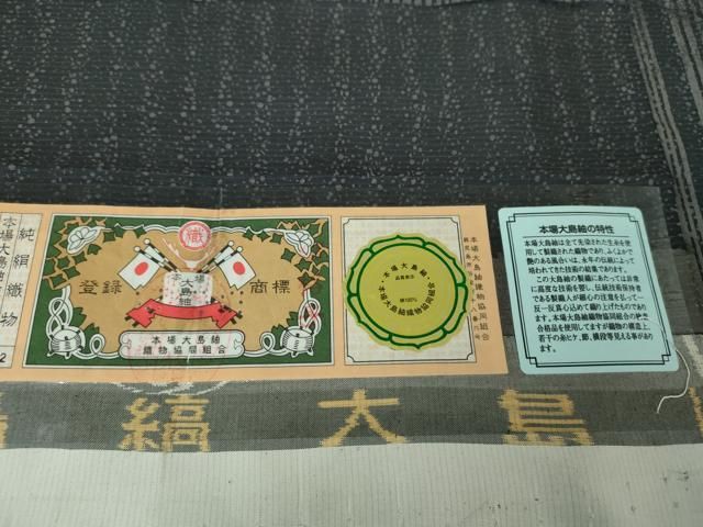 平和屋着物○インド・アッサム 野蚕糸 手織 ムガシルク 本場縞大島紬  