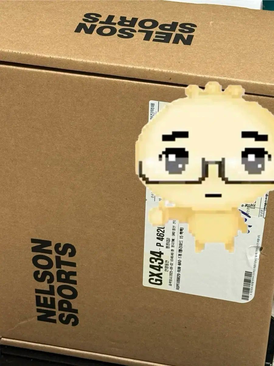 ARC TERYX アークテリクス ヒリアド 15 バックパック ルーン文字