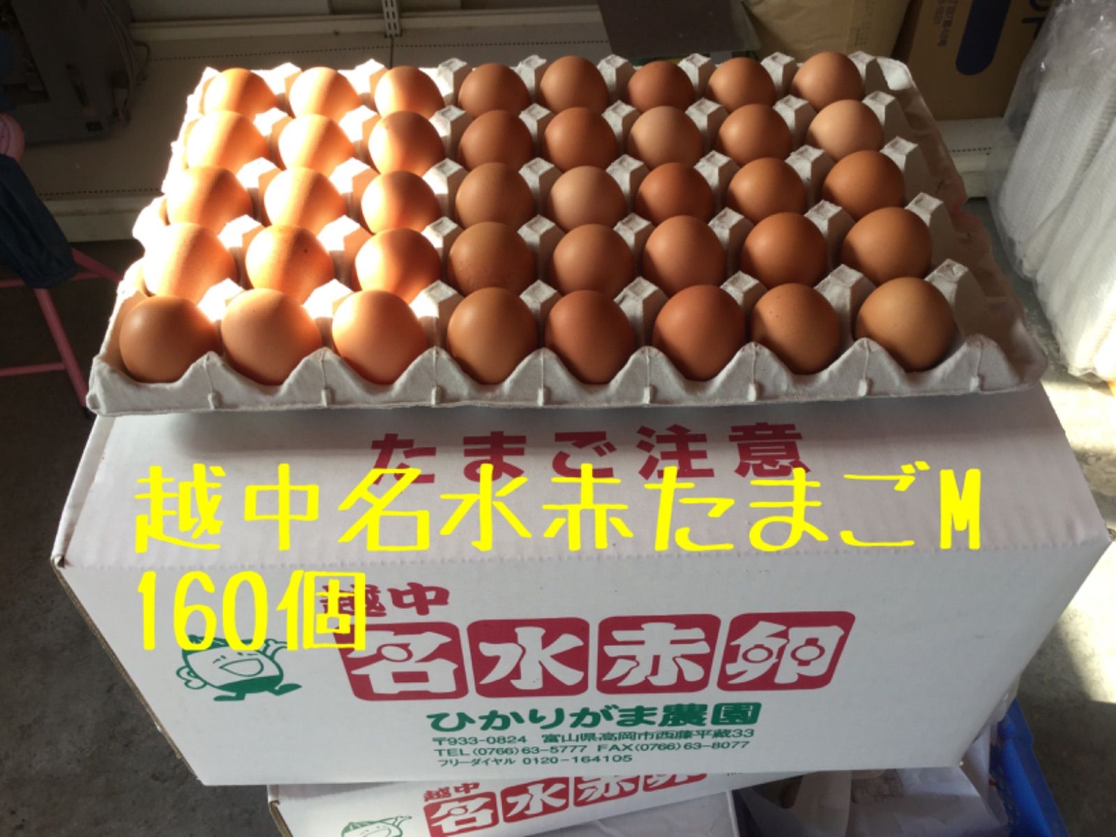160個　若たまご　卵掛けご飯　生2週間　加熱1ヶ月　北海道、沖縄別 160個 若たまご 卵掛けご飯 生2週間 加熱1ヶ月 北海道、沖縄別