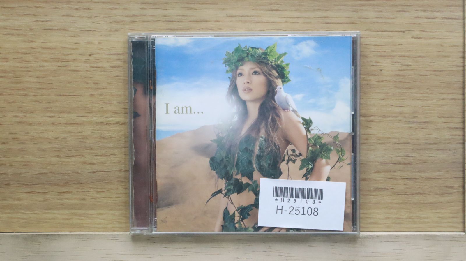 浜崎あゆみ / NEXTLEVEL 2 DISCS CD全14曲 DVD全12曲
