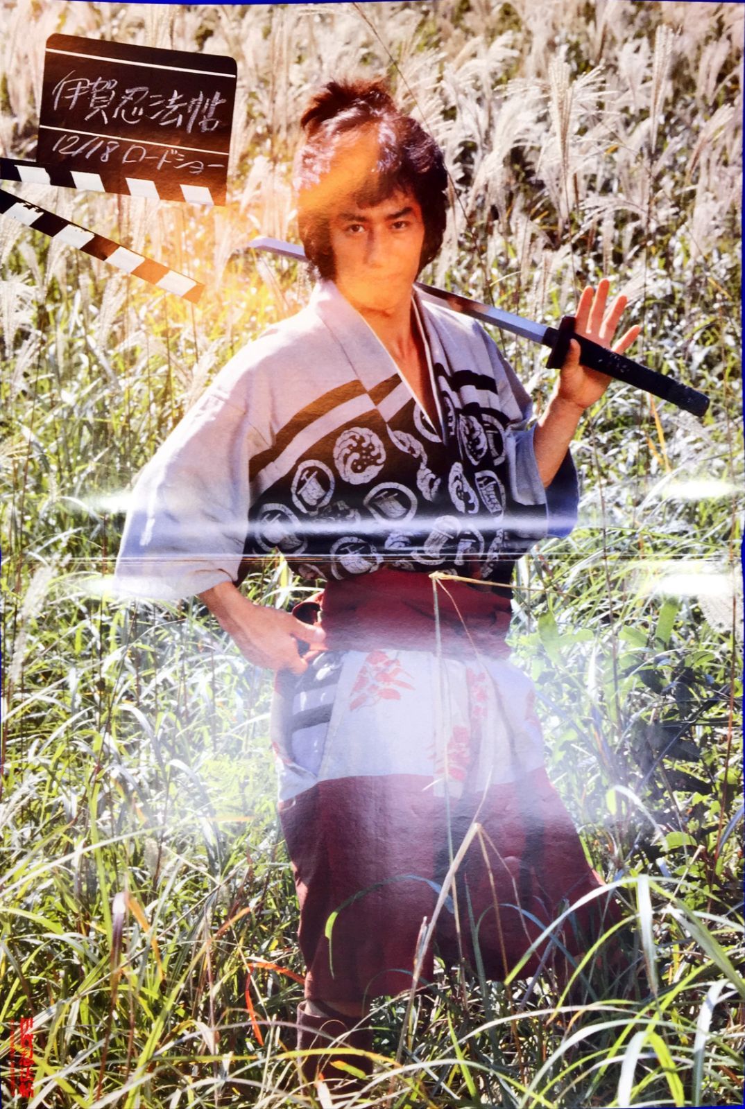 z『極悪拳法』映画オリジナルB2判ポスター z『極道VSまむし』映画