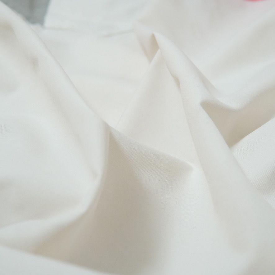 ナイキ ハーフジップ ナイロンジャケット L相当(表記S) 00s USA