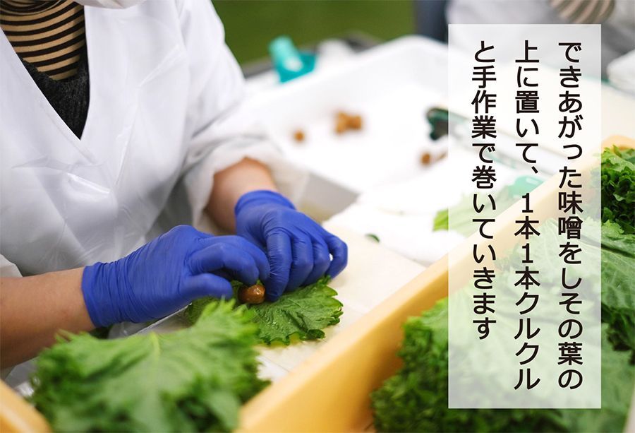 【送料無料 オンライン限定品】ご家庭用 満足する焼きしそ巻き (800g)