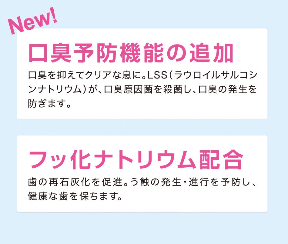 10本 セット
