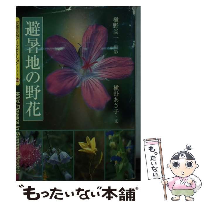 中古】 避暑地の野花 (京都書院アーツコレクション 44 写真 6) / 槙野