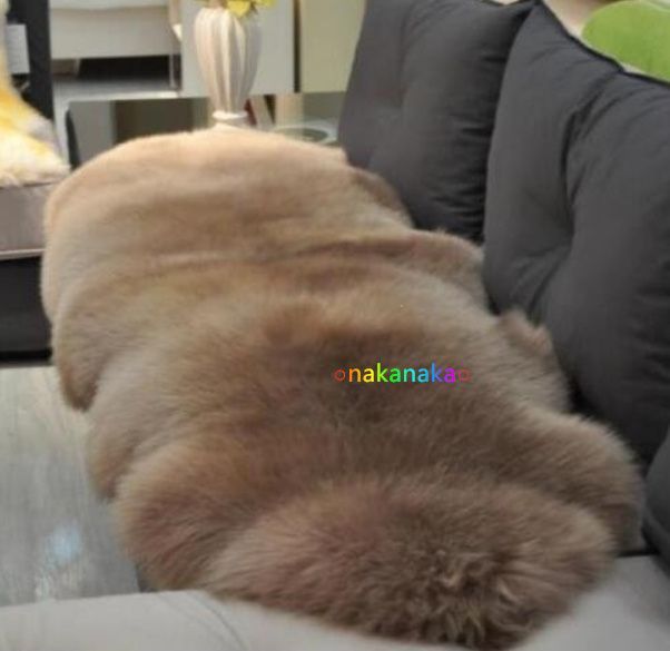 室内芸術 ムートン 贅沢 メリノ種羊 天然ムートン ラグマット ムートンラグ2p75*180cmムートンフリース ファー マット