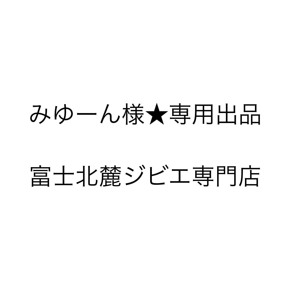 みゆーん様☆専用出品