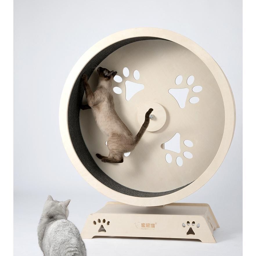 観覧車 猫研削爪