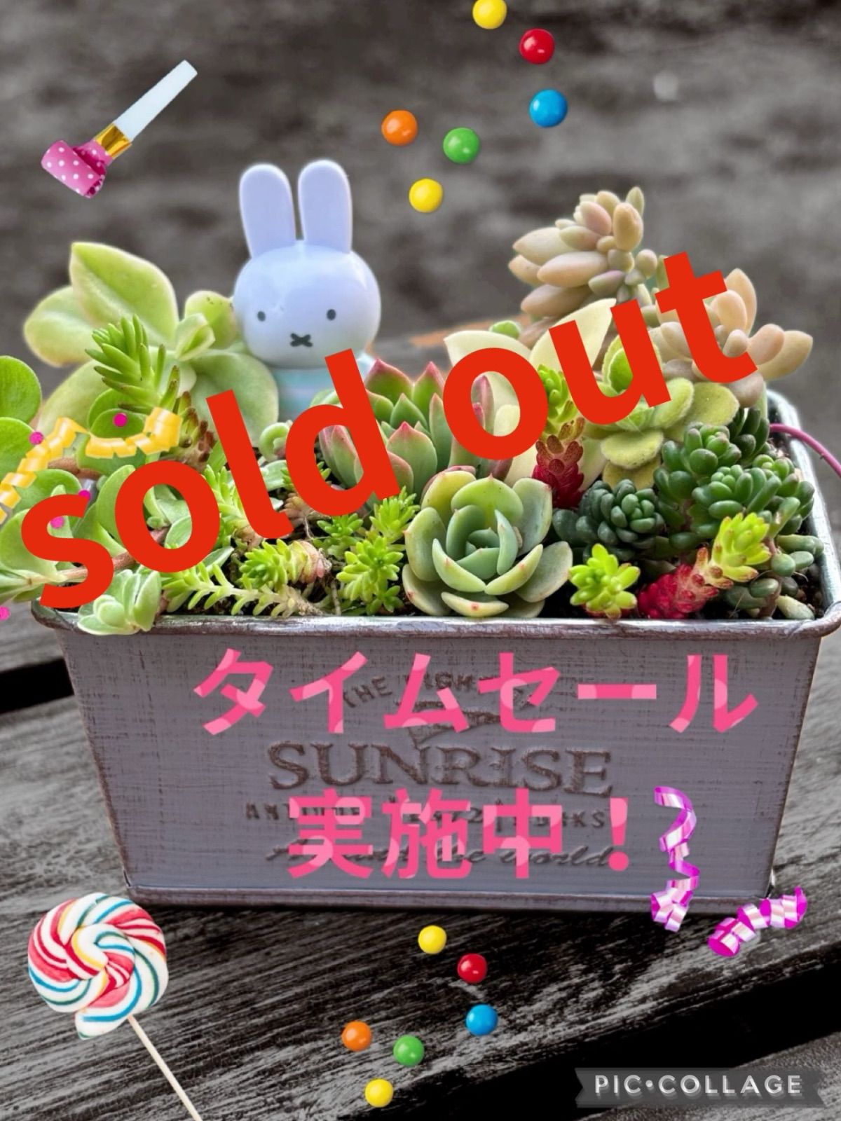 コミフォラ エイル rawlifefactory 宝印 rlf RAW LIFE FACTORY 第27回