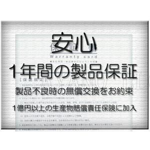 L19C3PG1