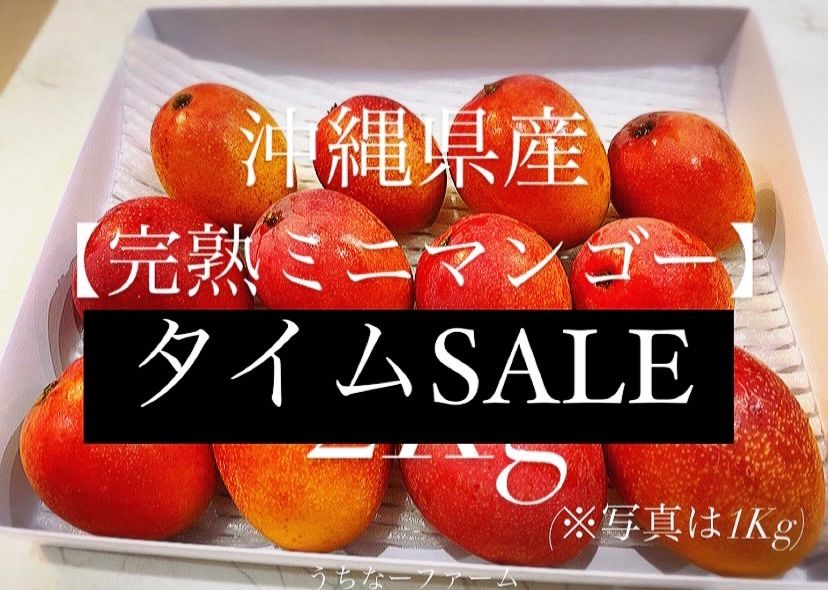 タイムSALE！希少☆沖縄県産【完熟ミニマンゴー】1Kg - メルカリ