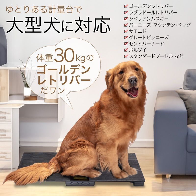 成長管理 健康管理