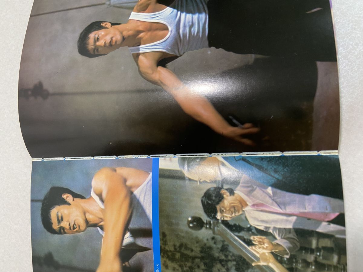 闘魂ブルース・リー 李小龍 デラックスカラーシネアルバム2