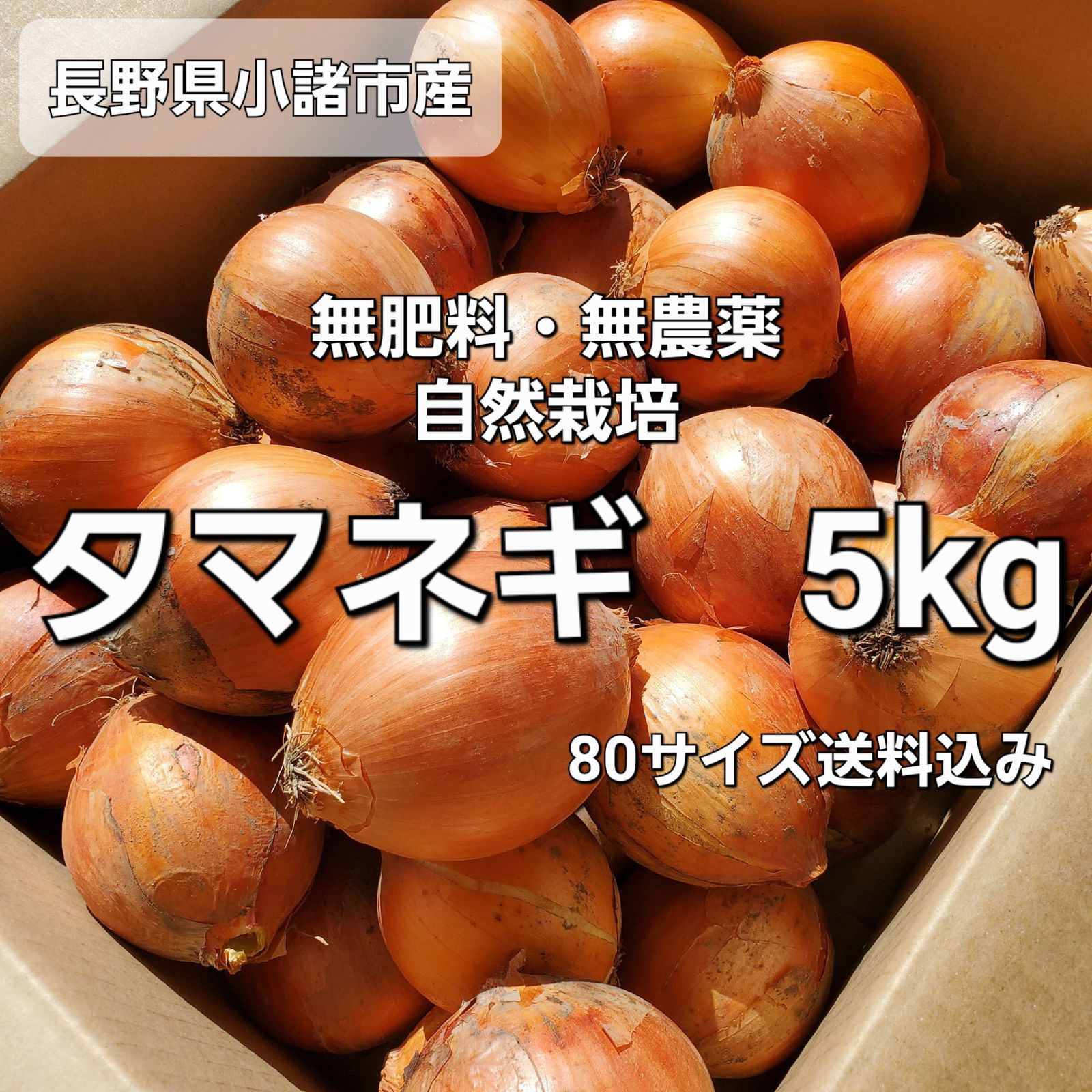 無肥料無農薬自然栽培 玉ねぎ - 食品