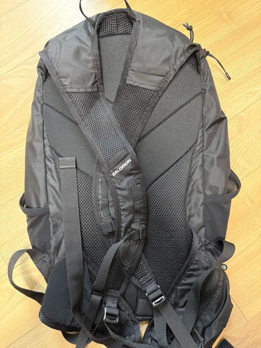 Salomon サロモン トレイルブレイザー 20 バックパック 販売
